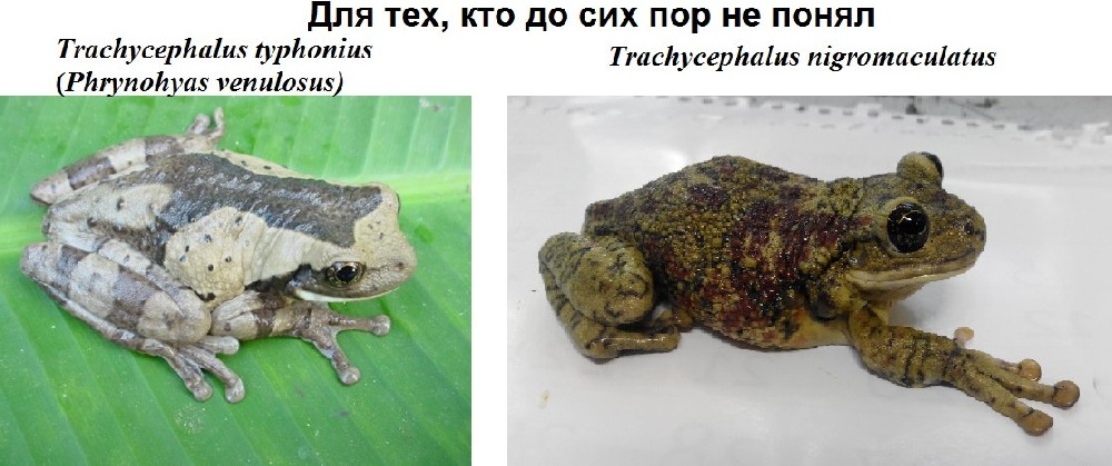 для форума