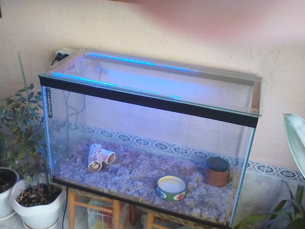 Usha3_terrarium1