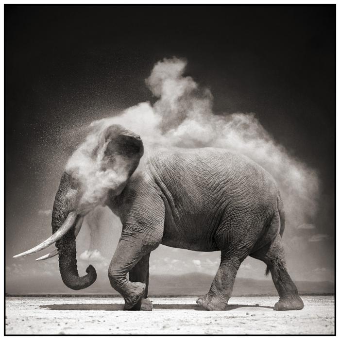 Nick Brandt