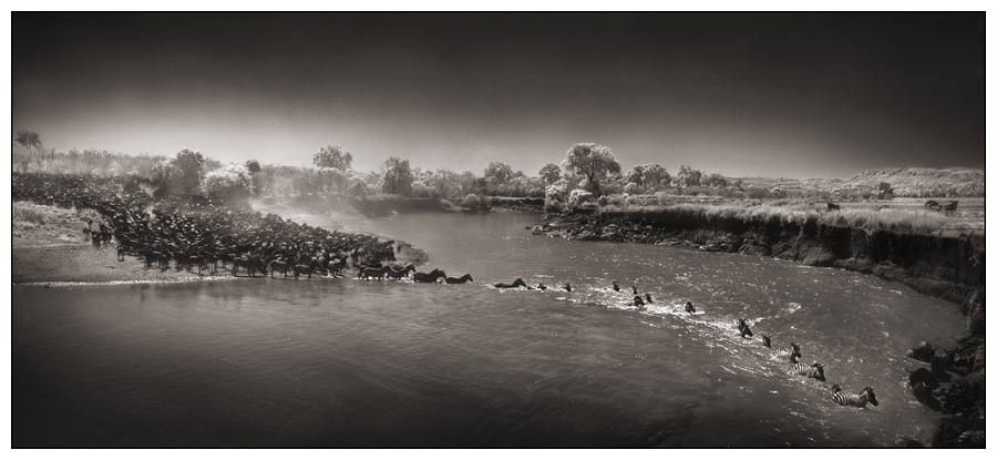 Nick Brandt