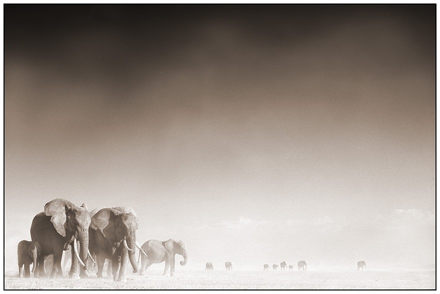 Nick Brandt