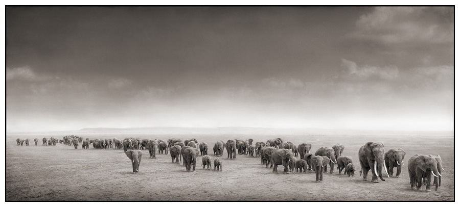 Nick Brandt