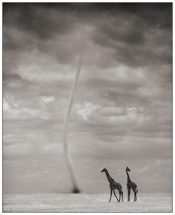 Nick Brandt