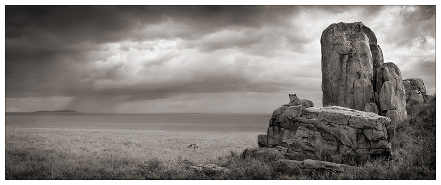 Nick Brandt