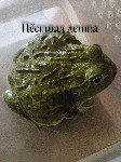 для форума